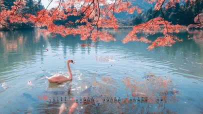 唯美治愈枫叶天鹅湖（真实时间）