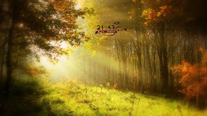 唯美午后阳光树林