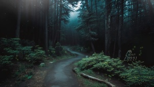 森林小路
