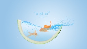夏日金鱼水西瓜
