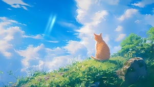 山坡上的猫咪