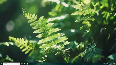 护眼绿景树木桌面主题