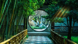 竹林走廊