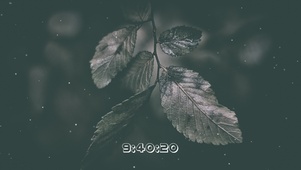 唯美护眼壁纸