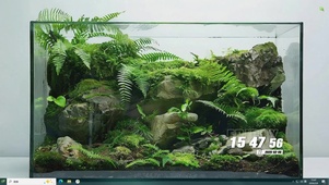 护眼水族缸桌面主题