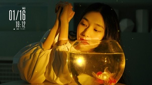 优雅的小姐姐