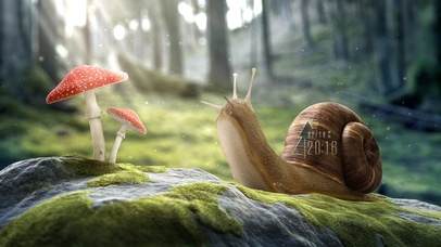 唯美治愈森林蘑菇蜗牛