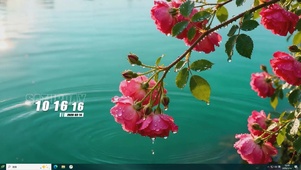 海景树枝桌面主题