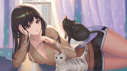 逗猫猫