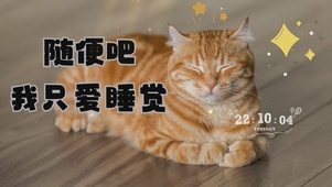 随便吧我只爱睡觉