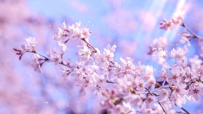 唯美桃花朵朵开