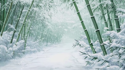 冬日竹林