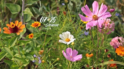 4k阳光清新系列