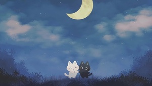 黑夜的猫