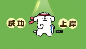 成功上岸