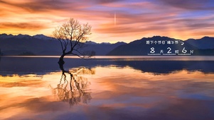 独树（夕阳）