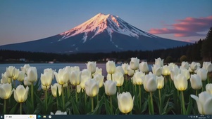 花海日照雪山主题