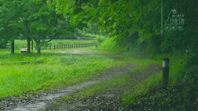 夏日清凉细雨
