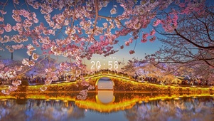 唯美治愈黄昏湖泊樱花