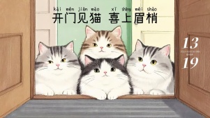 开门见猫 喜上眉梢