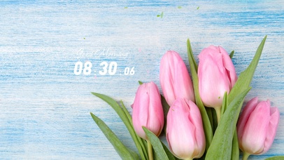 简约清新郁金香植物壁纸