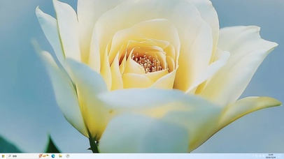 唯美花花-桌面主题