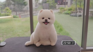 小团团