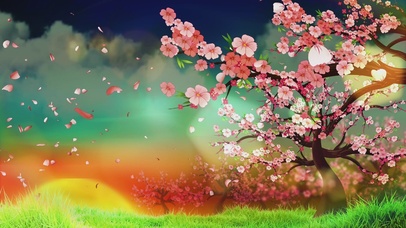 浪漫樱花系列（黄昏）