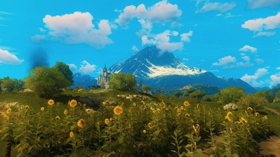 飞鸟向日葵城堡