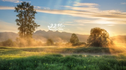 4k唯美治愈早晨