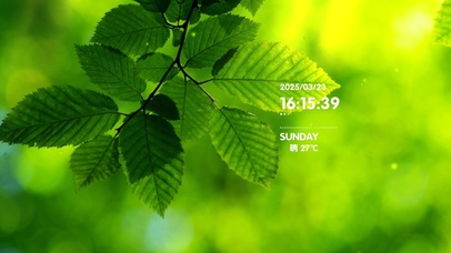 简约系绿植壁纸