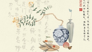忍冬金银花