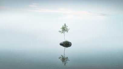 湖中小树-雨