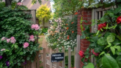 4k治愈唯美庭院花园