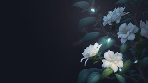 月色与花