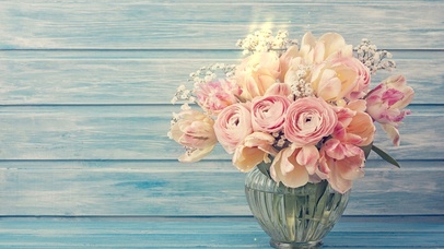 阳光下的小清新