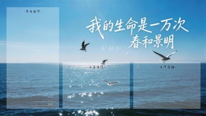 我的生命是一万次春和景明-分区