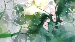 要留青白共人间