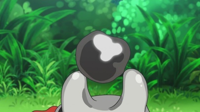 木木枭和美录坦