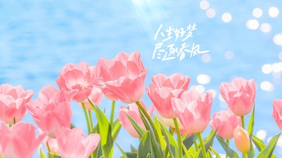 人生好梦，尽逐春风