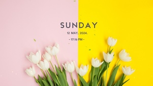 4k小清新花草壁纸