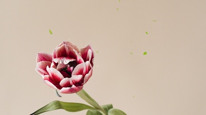 4k高清古风系列