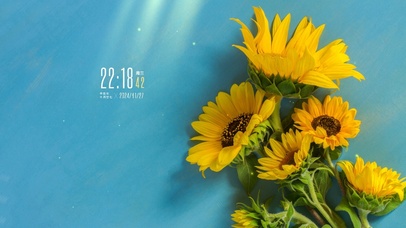 阳光灿烂向日葵