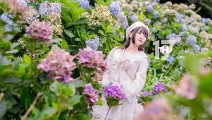 鲜花丛中美女