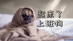 起床了上班狗学习狗