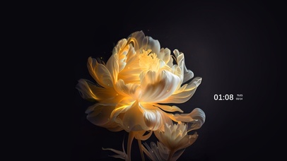 4k治愈 星光繁花