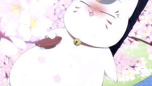 猫咪老师