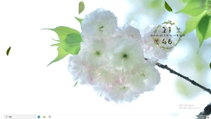 4k唯美花花
