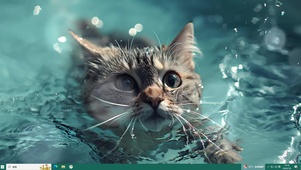 游泳猫猫