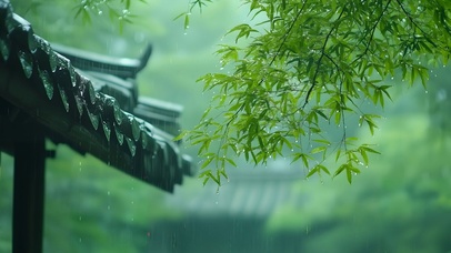 护眼雨中竹亭